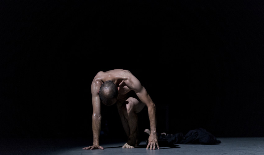 Dance: twenty questions to José Navas